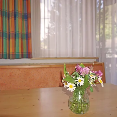 Diana-1 By Interhome Pettneu am Arlberg